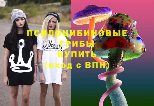 крисы Нефтегорск
