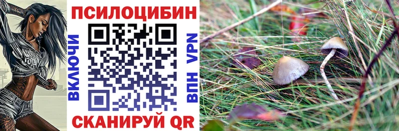 площадка какой сайт  Новороссийск  Галлюциногенные грибы MAGIC MUSHROOMS 