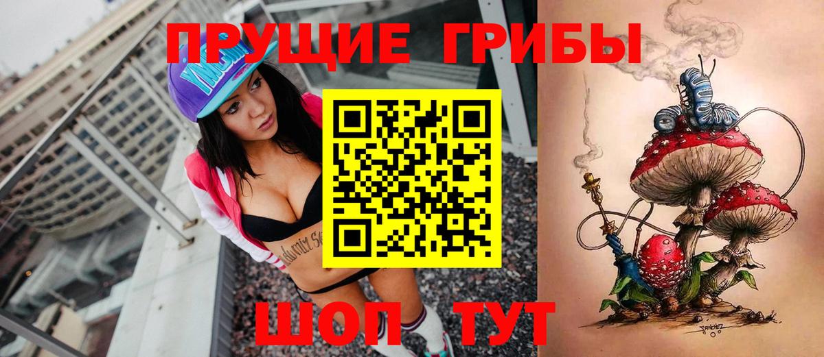 Псилоцибиновые грибы мицелий  Псилоцибиновые грибы Psilocybine cubensis  Вход с VPN  Новороссийск 