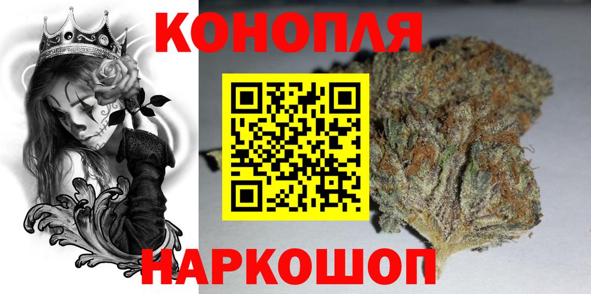Каннабис планчик Новороссийск